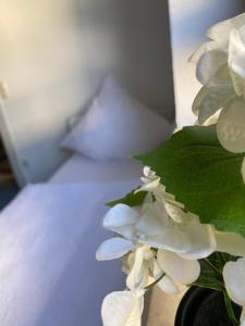 门迪希Schicke Monteurunterkunft in Mendig mit drei Wohneinheiten的坐在床边的一束白色花