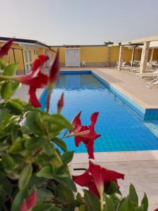 莫杜尼奥B&B FreeZone的一座游泳池,前面有红花