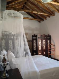 TalaraLa Cañota King Rooms Adults Only的一间卧室,配有一张带面纱的床