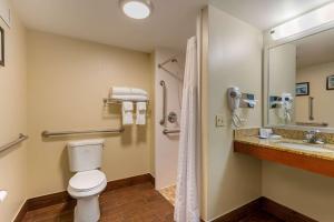 米尔福德米尔福德戴斯酒店的浴室配有卫生间、盥洗盆和淋浴。