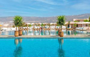 塔哈佐特Hilton Taghazout Bay Beach Resort & Spa的度假村内棕榈树游泳池