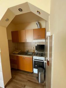 阿列谢尼Cabana Med 2的厨房配有木制橱柜和炉灶烤箱。