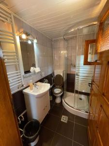 阿列谢尼Cabana Med 2的浴室配有卫生间、盥洗盆和淋浴。