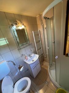 阿列谢尼Cabana Med 2的浴室配有卫生间、盥洗盆和淋浴。