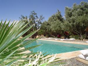 斯库拉勒斯嘉丁斯库拉住宿加早餐旅馆的前方的游泳池,有棕榈树