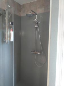 拉罗克德格兰Fan 36B的浴室内配有淋浴和头顶淋浴
