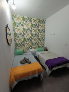 厄尔梅达诺La casita de Aitor; campo y playa en el Médano的墙上的房间里设有两张床
