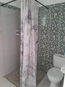 珀蒂堡Bungalow Abricot的一间带大理石淋浴帘和卫生间的浴室
