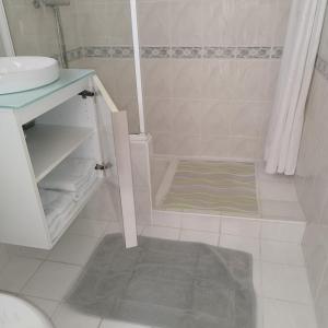 瓦尔邦讷Les Chênes Verts的浴室配有盥洗盆和带地毯的淋浴