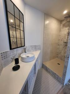 RadonvilliersL'OREE DES LACS, Maison de village tout confort的一间带水槽和淋浴的浴室