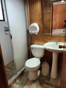 瓦尔迪维亚Hotel CasaGrande的一间带卫生间和水槽的浴室