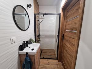 卡尔帕奇Zacisze w Karkonoszach的一间带水槽、镜子和淋浴的浴室