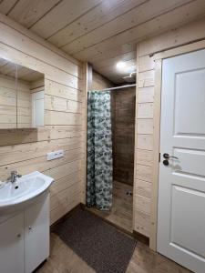 Milkės Karibai - poilsio namelis su sauna ir kubilu的带淋浴和盥洗盆的浴室