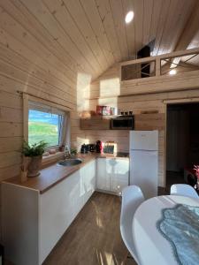 Milkės Karibai - poilsio namelis su sauna ir kubilu的一间厨房,内设白色橱柜和水槽