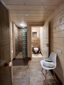 Milkės Karibai - poilsio namelis su sauna ir kubilu的一间带卫生间和步入式淋浴间的浴室
