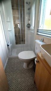 圣奥斯特尔Roecliff的带淋浴、卫生间和盥洗盆的浴室
