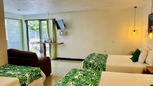 蒙泰韦尔德哥斯达黎加Freddy`s Place B&B的酒店客房设有两张床和电视。