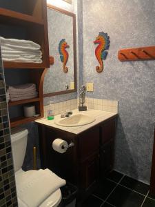 圣佩德罗Belize Budget Suites的一间带水槽、镜子和卫生间的浴室