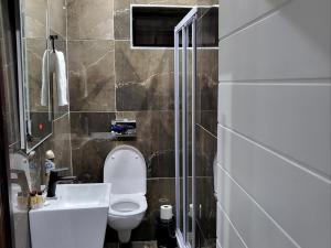 彼得马里茨堡@ 21 Guest House的浴室配有卫生间、盥洗盆和淋浴。