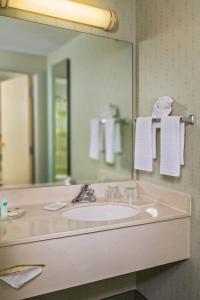 夏洛特斯普里赫尔套房酒店－夏洛特大学研究园的一间带水槽和大镜子的浴室