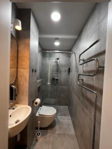 克莱佩达Tilzes Studio apartaments, Self check-in, Free parking, Comfort的带淋浴、卫生间和盥洗盆的浴室