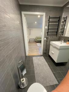 法伦2 bedroom apartment in Falun - 2km from centrum的一间带水槽、卫生间和楼梯的浴室