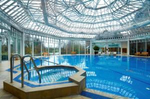 比肯希尔希尔顿伯明翰大都会酒店的一个带玻璃天花板的大型室内游泳池