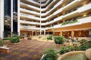 格林斯伯勒Embassy Suites by Hilton Greensboro Airport的植物丛中的空大厅