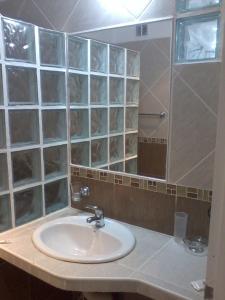费德拉西翁Hanna Apart的一间带水槽、淋浴和镜子的浴室