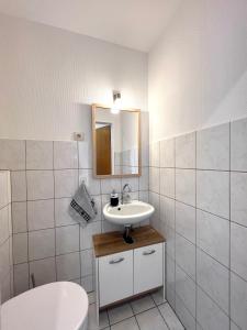 哈廷根Stilvolles Apartment mit ländlichem Ausblick的一间带水槽、卫生间和镜子的浴室