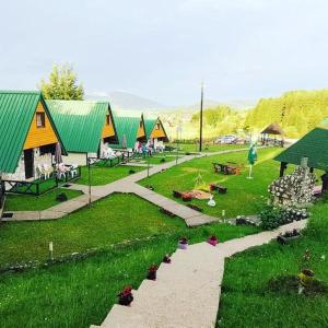 扎布利亚克杜米托尔别墅山林小屋的一群在田野上拥有绿色屋顶的房屋