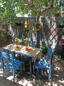 圣阿马鲁Amorada的一张桌子,上面有两把蓝色的椅子,桌子上还有植物