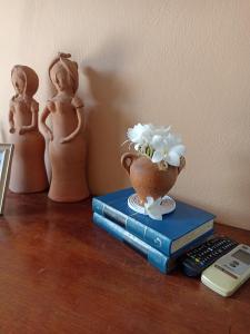圣阿马鲁Amorada的遥控器旁边的书库上的花瓶