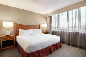 奥兰多Embassy Suites by Hilton Orlando International Drive ICON Park的酒店客房设有一张床和一个大窗户