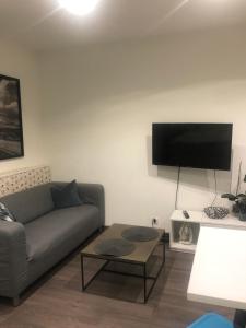 MeythetGrand studio的带沙发和平面电视的客厅