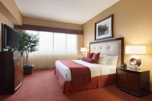 堪萨斯城Embassy Suites by Hilton Kansas City International Airport的配有一张床和一台平面电视的酒店客房