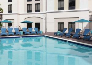 迈阿密迈阿密多拉海豚购物中心汉普顿套房酒店的一个带蓝色椅子和遮阳伞的游泳池