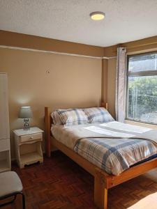 基多Tin House Quito的一间卧室设有一张床和一个窗口