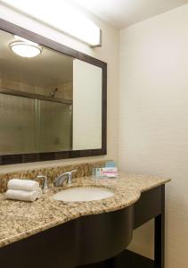 钱德勒凤凰城钱德勒时装中心汉普顿酒店及套房的一间带水槽和镜子的浴室