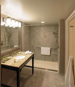 罗切斯特斯特拉撒伦 - 希尔顿逸林酒店 的一间带水槽和淋浴的浴室
