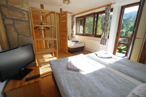 什切尔克Ski House Szczyrk - Solisko的一间卧室配有一张床,并在一间客房内配有电视。