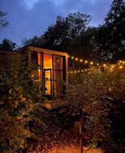 阿纳姆Tiny Dream House的夜晚在花园里的一个小房子