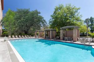 坦帕Embassy Suites by Hilton Tampa USF Near Busch Gardens的一个带椅子和树木的大型游泳池
