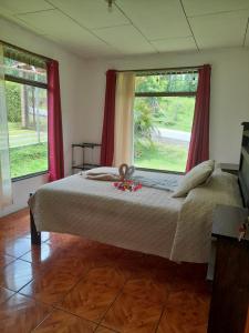 蒙泰韦尔德哥斯达黎加Twin Palms Lodge的一间卧室设有一张大床和两个窗户。