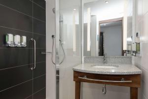 波兹南Hampton By Hilton Poznan Old Town的一间带水槽和淋浴的浴室
