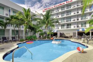 迈阿密厄尔巴诺迈阿密酒店的酒店前方的游泳池有天鹅