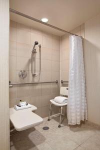 马尔伯勒马尔堡希尔顿合博套房酒店的带淋浴、卫生间和盥洗盆的浴室