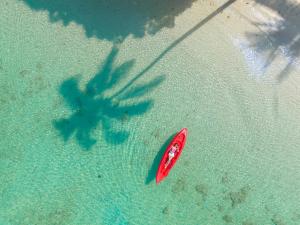 奈岛Thapwarin Resort - Green Hotel的水中红色的冲浪板,树荫下
