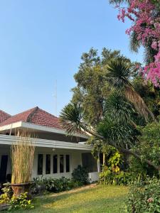 雅加达SOETJIPTO HOME STAY VILLA的院子里有棕榈树的白色房子