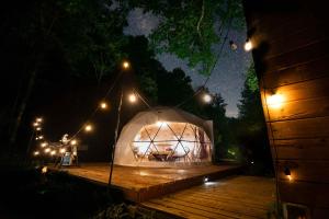 赛维尔维尔Solace glamping 2的夜幕中点燃的 ⁇ 蜥